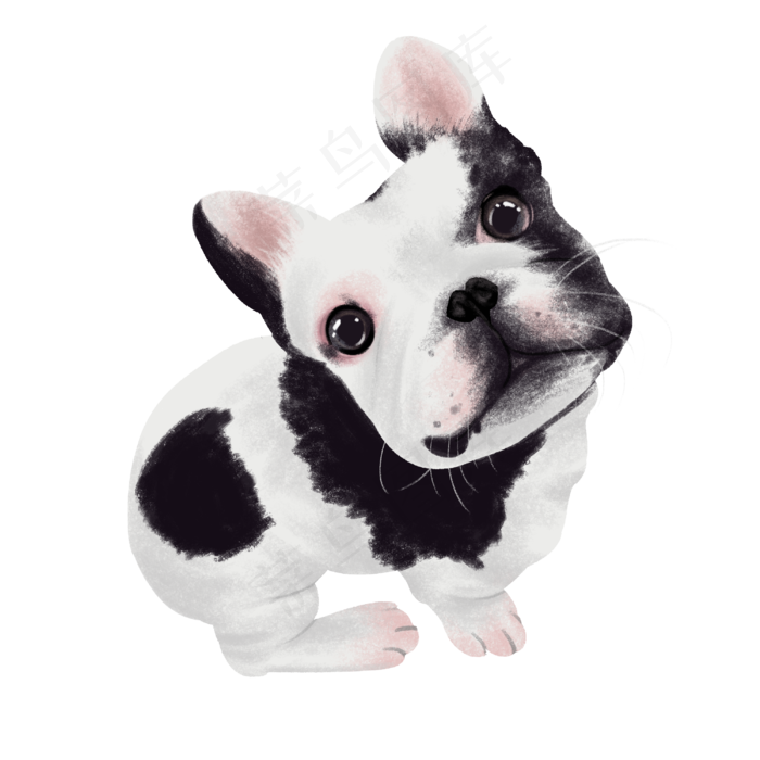 可爱宠物犬法斗纯种,免抠元素(3000*3000px 300 dpi )psd模版下载