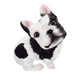 可爱宠物犬法斗纯种,免抠元素