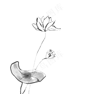 水墨风荷花荷叶莲藕装饰免扣素材