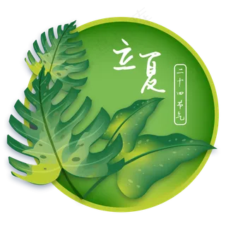 立夏绿色叶子装饰