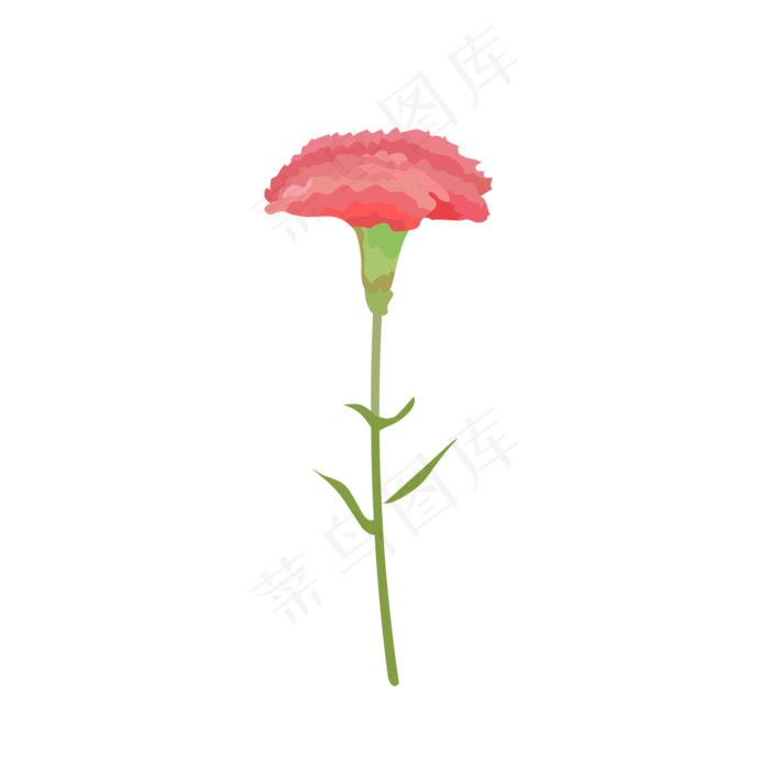 玫红手绘母亲节康乃馨免抠素材(2000*2000px 300 dpi )ai矢量模版下载