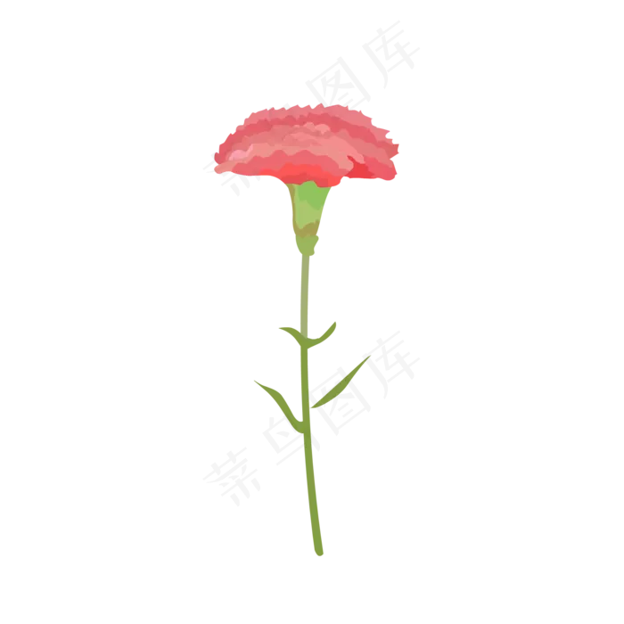 玫红手绘母亲节康乃馨免抠素材(2000*2000px 300 dpi )ai矢量模版下载