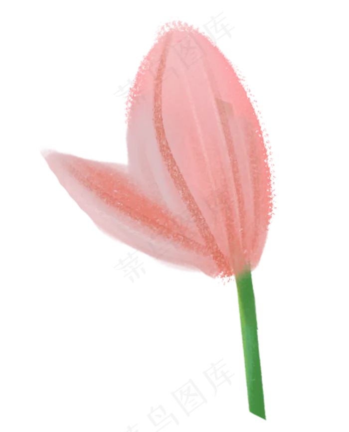 荷花花苞图案(1000X1239(DPI:300))psd模版下载