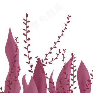 春天红色叶子植物装饰