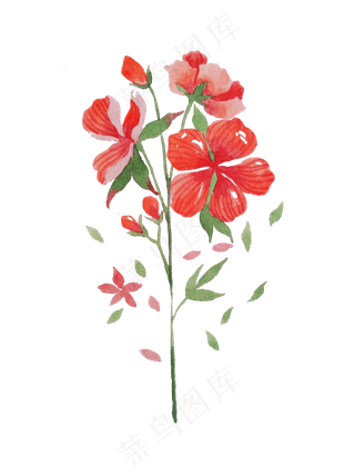 卡通水彩小清新花草