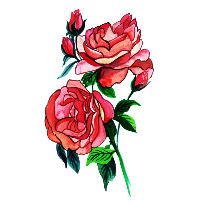 卡通手绘玫瑰矢量素材