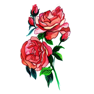 卡通手绘玫瑰矢量素材