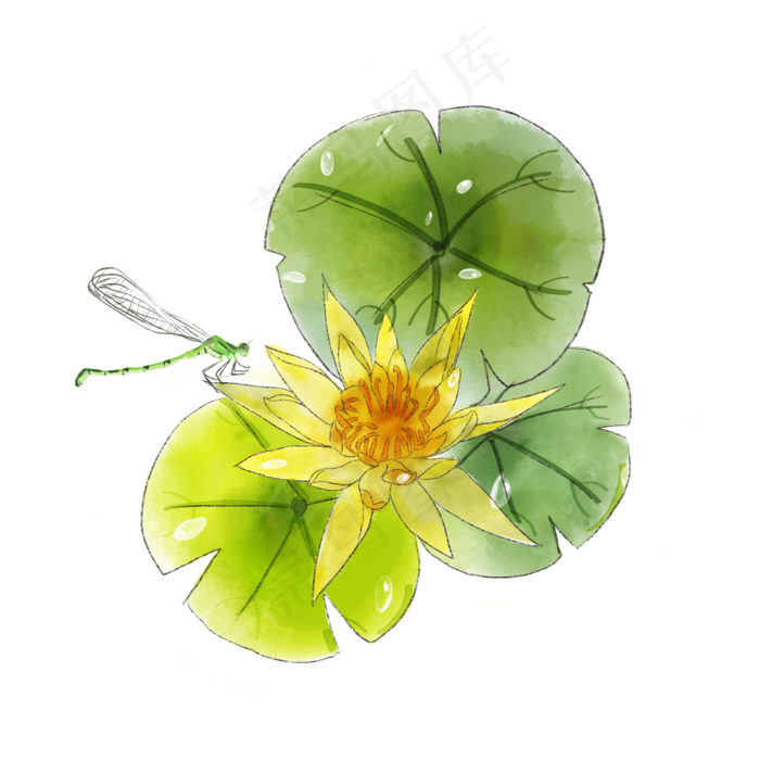 黄色莲花荷花蜻蜓夏日PNG