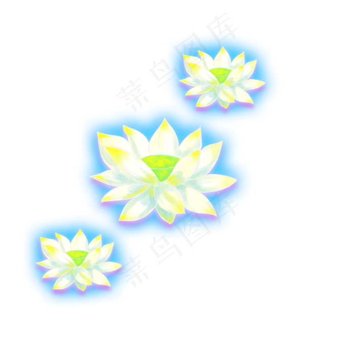 夏季植物白色荷花装饰图案png(2000X2000(DPI:300))psd模版下载