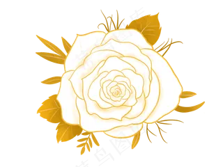 金色花玫瑰金边