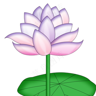 紫色荷花png素材