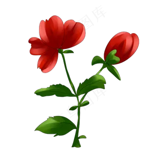 玫瑰花红玫瑰手绘装饰图案