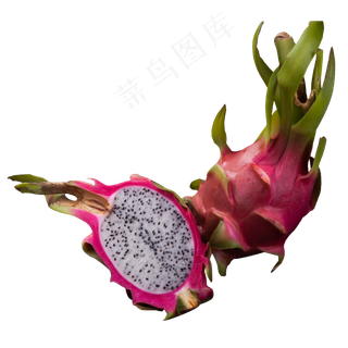 实拍果林果树火龙果果实