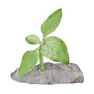 水彩春天植物发芽嫩芽