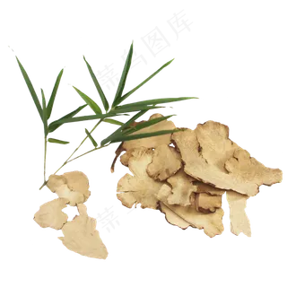 土茯苓药材,免抠元素