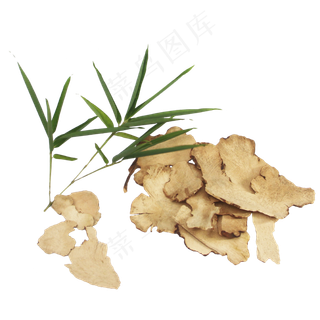 土茯苓药材,免抠元素