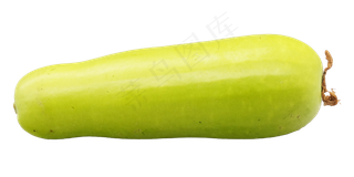 新鲜蔬菜西葫芦