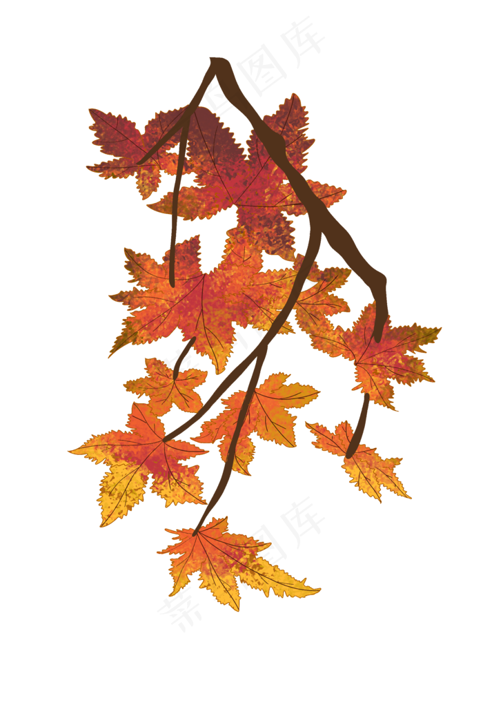 立秋红色枫叶PNG(2000X3000(DPI:300))psd模版下载