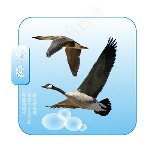 AI矢量文件二十四节气之寒露