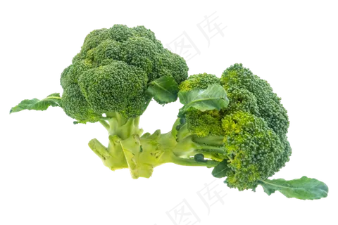 精美花椰菜实物 精美花椰菜实物