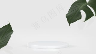 3d产品演示背景psd，带白色讲台和一片叶子
