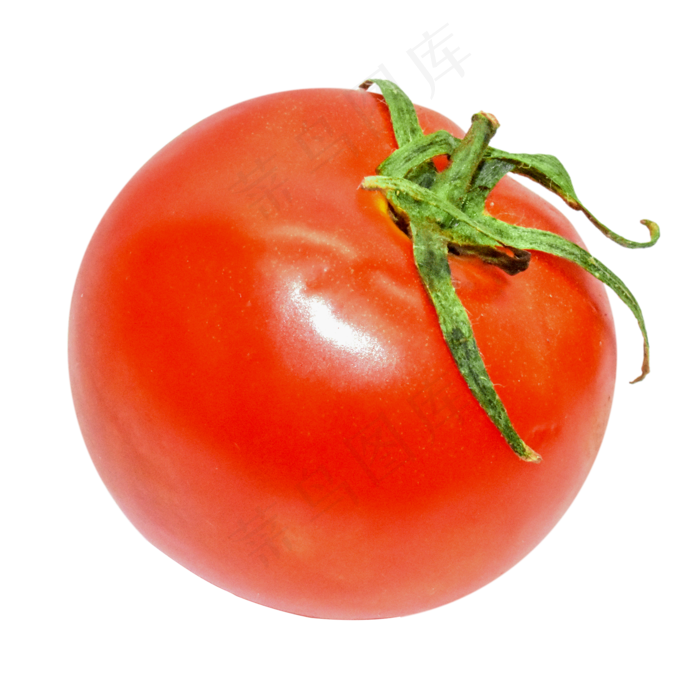 红色西红柿食物