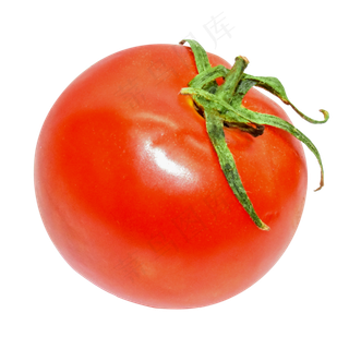 红色西红柿食物