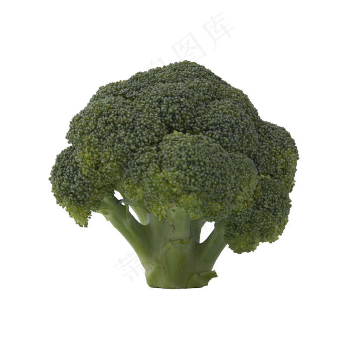 西兰花（png免抠）(2000X2000(DPI:72))psd模版下载