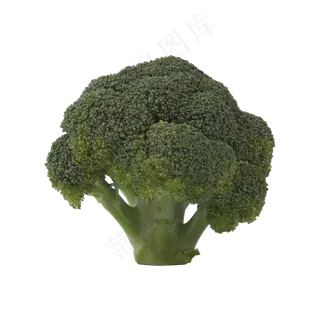 西兰花（png免抠）