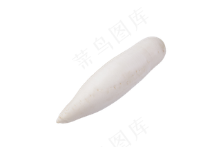 健康食品白萝卜瘦身