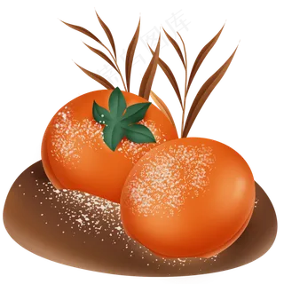 结霜的柿子和植物