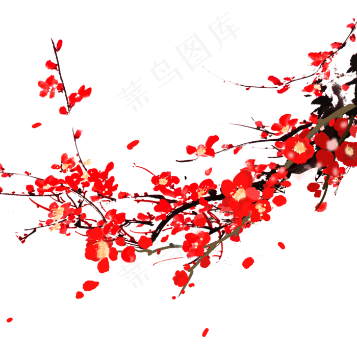 红花手绘梅花冬天植物(2000*2000px 300 dpi )psd模版下载