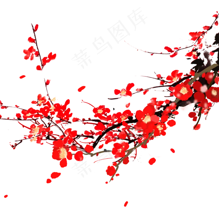红花手绘梅花冬天植物(2000*2000px 300 dpi )psd模版下载