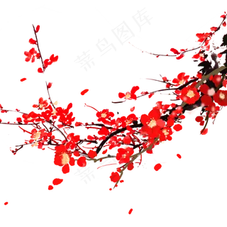 红花手绘梅花冬天植物