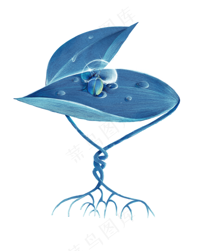 冷色调节气白露