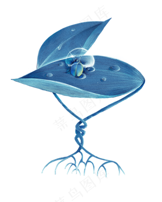 冷色调节气白露