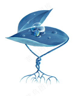 冷色调节气白露 冷色调节气白露