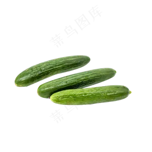 三根新鲜黄瓜