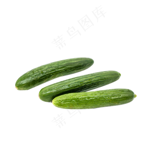 三根新鲜黄瓜