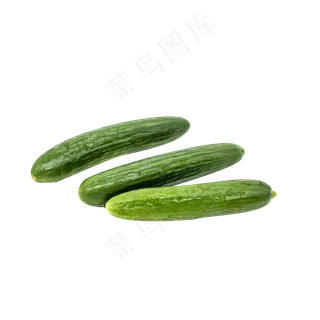 三根新鲜黄瓜