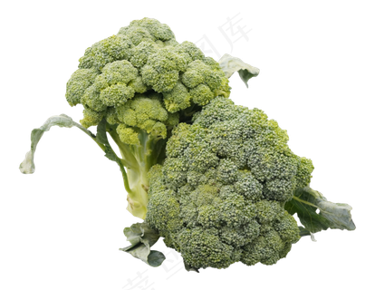 西蓝花蔬菜