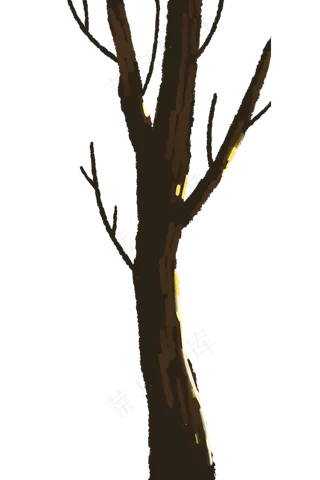 秋天秋季枯树干萧瑟