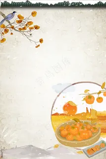 霜降冬天秋天柿子树二十四节气