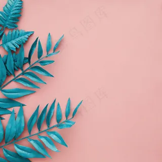 蓝色边框在粉红色背景上留有空白 蓝色边框在粉红色背景上留有空白