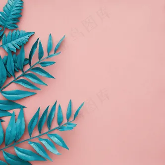 蓝色边框在粉红色背景上留有空白