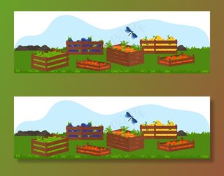 带有生态食品、水果和蔬菜的木箱，展示丰收。