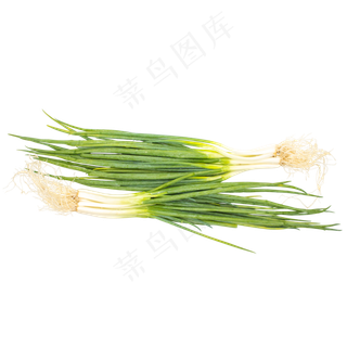有机蔬菜小葱