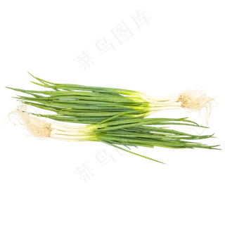 有机蔬菜小葱 有机蔬菜小葱