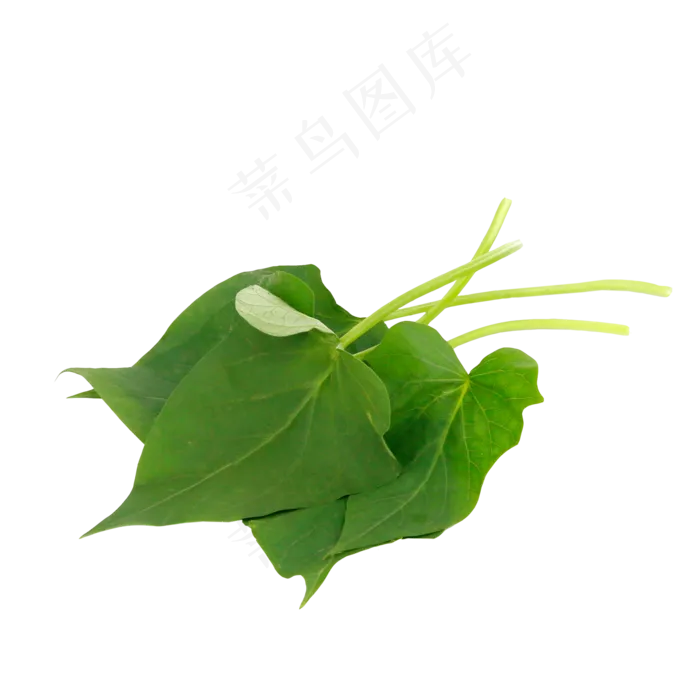 蔬菜番薯叶(2000*2000px 300 dpi )