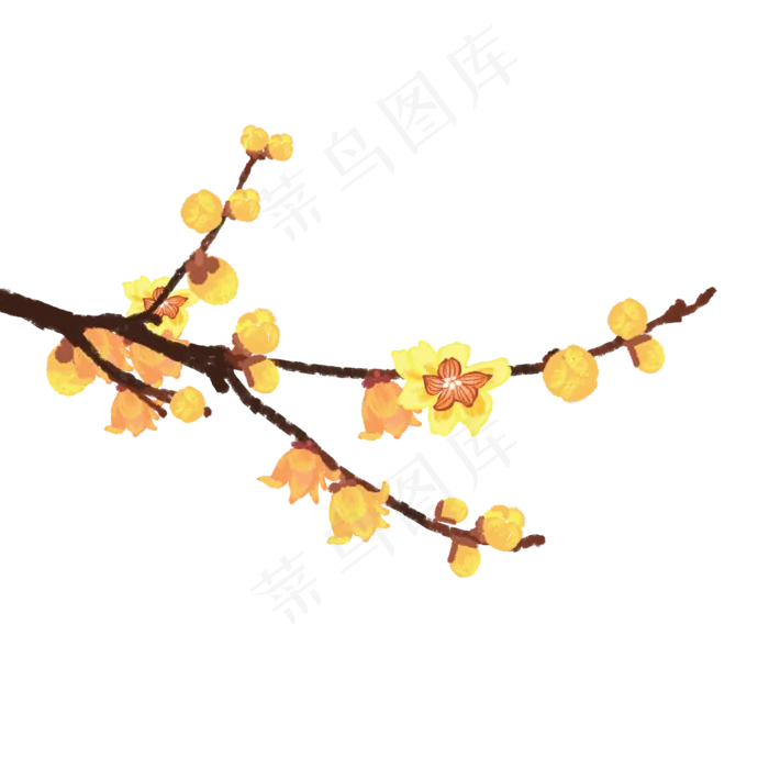 手绘腊梅枝头梅花(2000X2000(DPI:300))psd模版下载